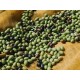 Ogliarola Extra Virgin Olive Oil - Northern Hemisphere (Italy)